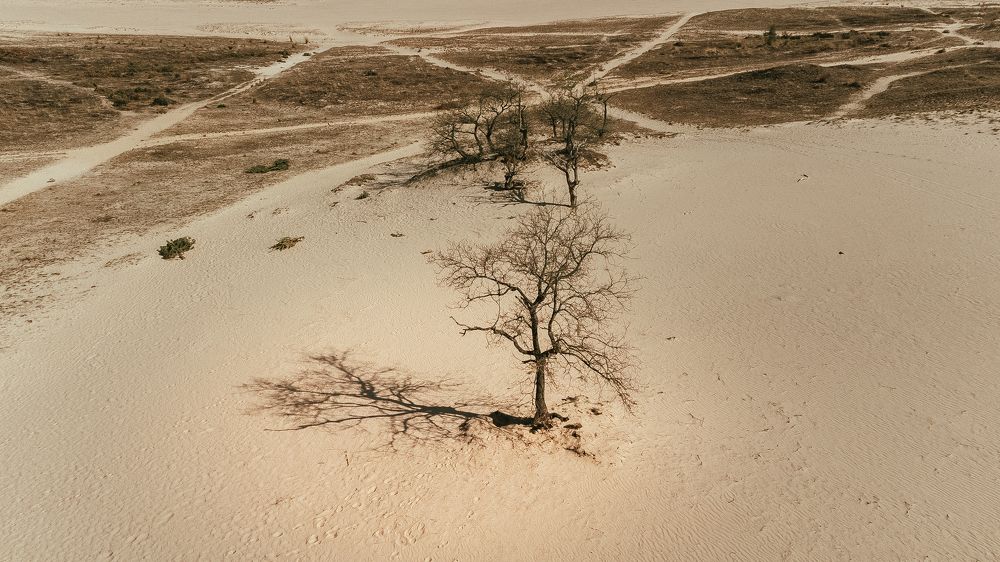 Photograph by Dmitry Zhukovskiy