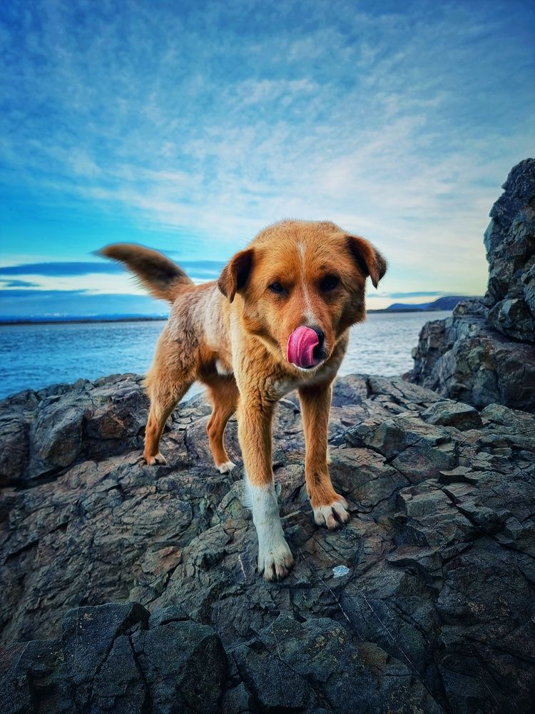 Photograph by Василий Садовский