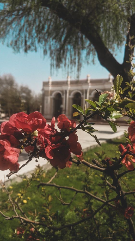 Photograph by Диана Галиуллина