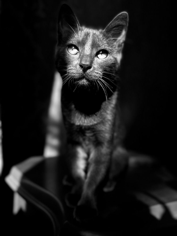 Photograph by Elena Novikova