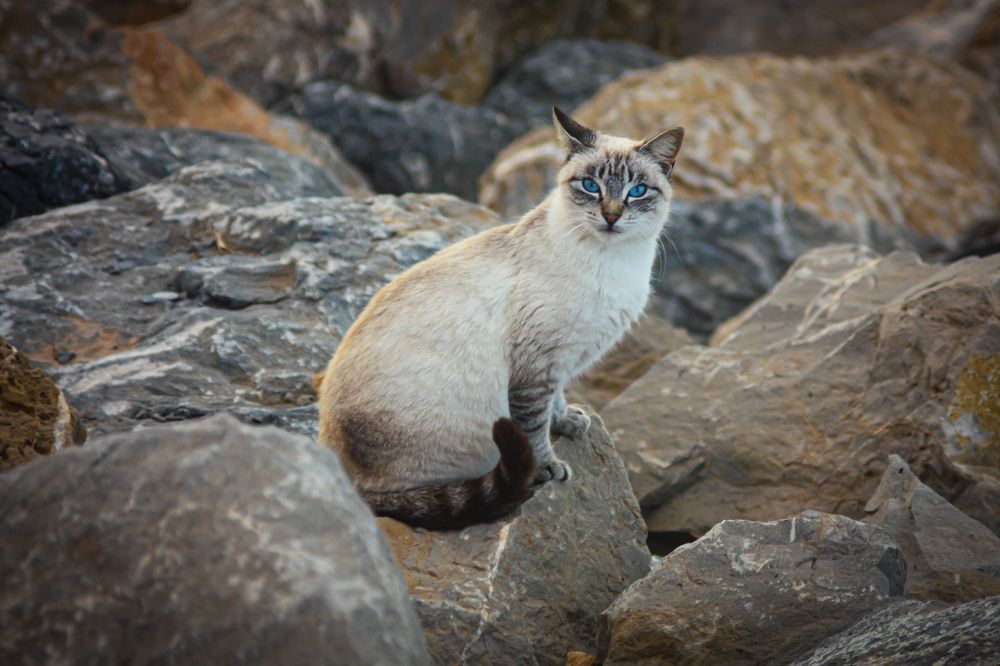 Фотография автора Benaissa Ilyes