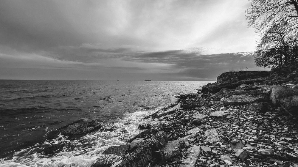 Photograph by Валерия Афонасьева