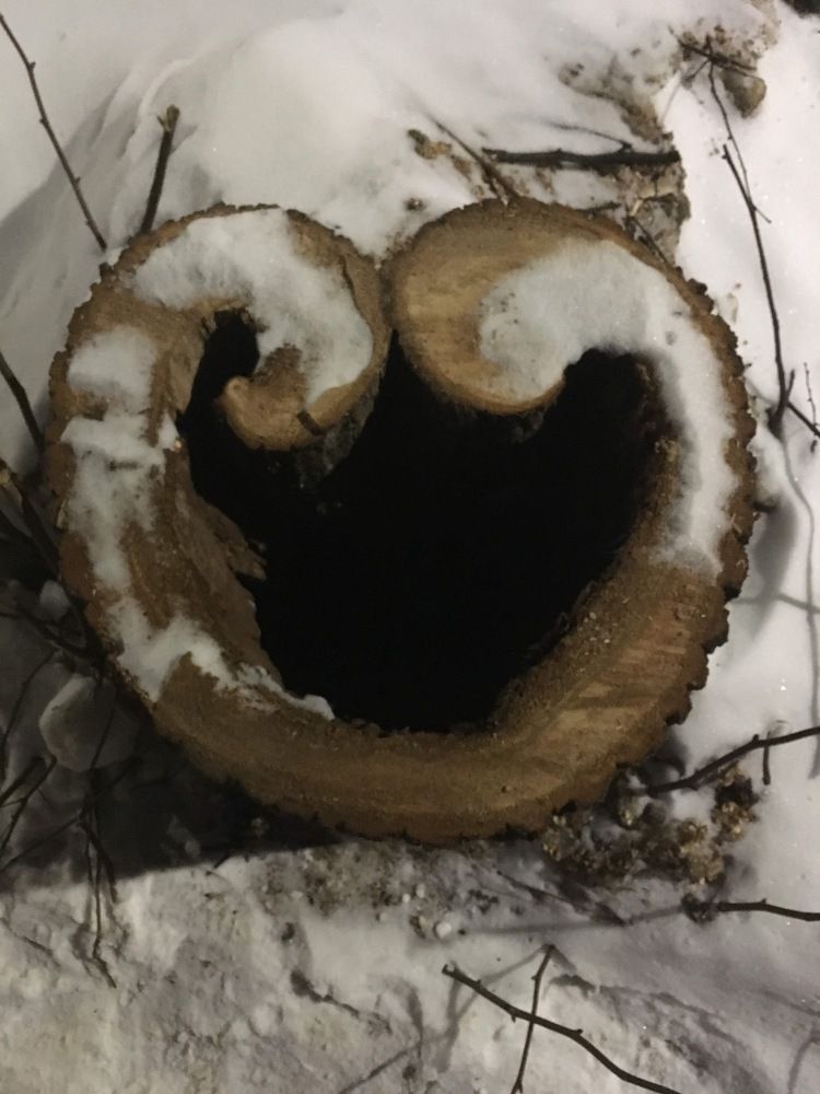 Photograph by Денис Смородин