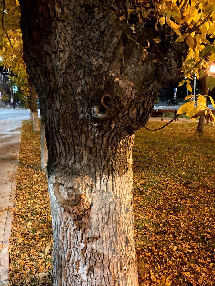 Photograph by Денис Смородин