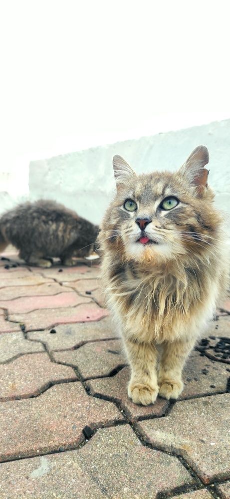 Photograph by Борис Прощин