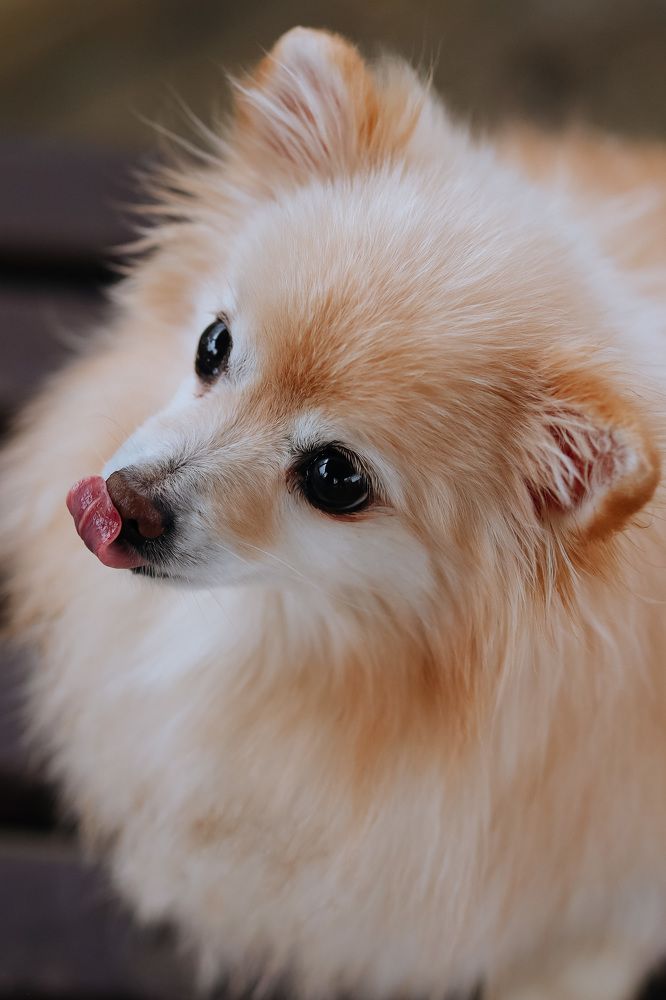 Photograph by Валерия Афонасьева