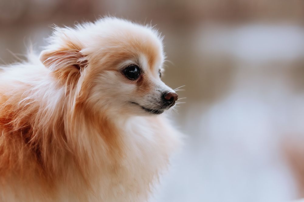 Photograph by Валерия Афонасьева