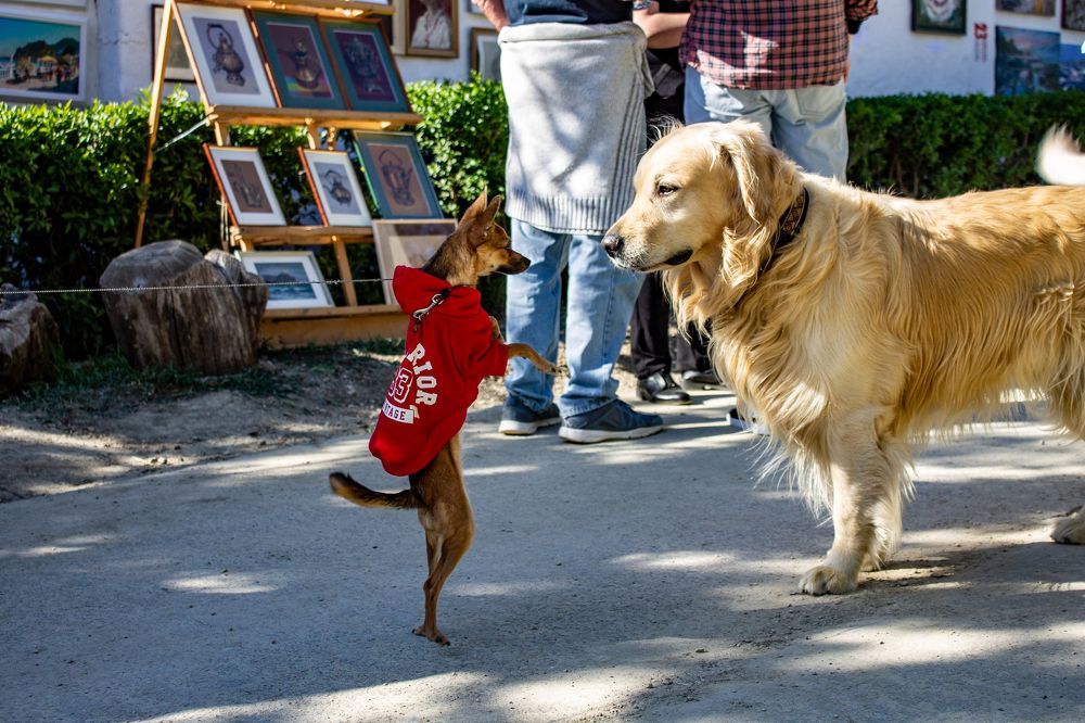 Photograph by Евгений Ермаков