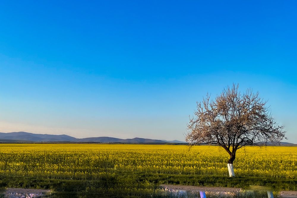 Photograph by Валерия Афонасьева