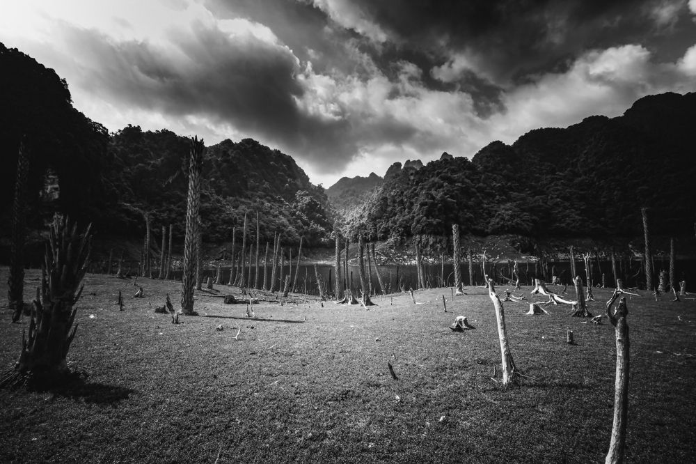 Photograph by Nguyen Ngoc Tuan