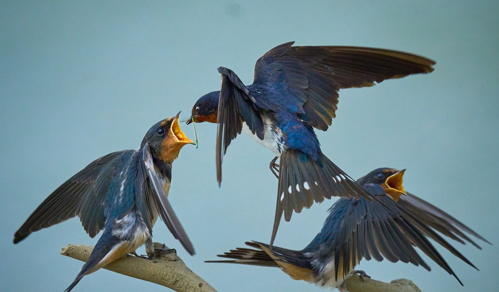 Photograph by Maurice Leung