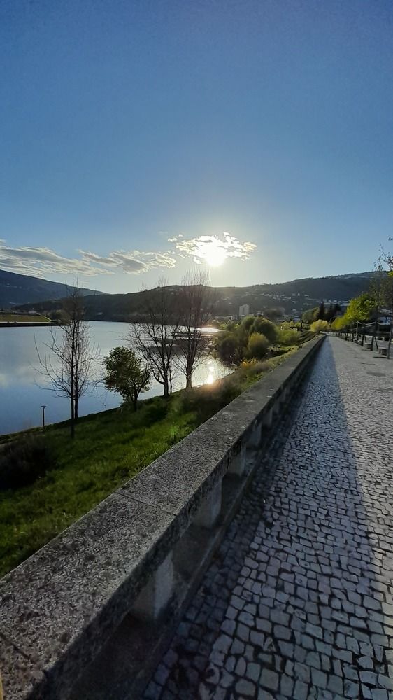 Photograph by Luís Fortunato
