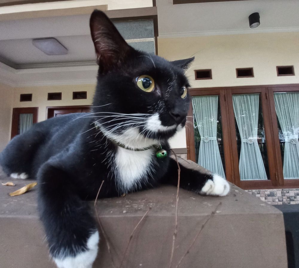 Photograph by Pujo Cahyono