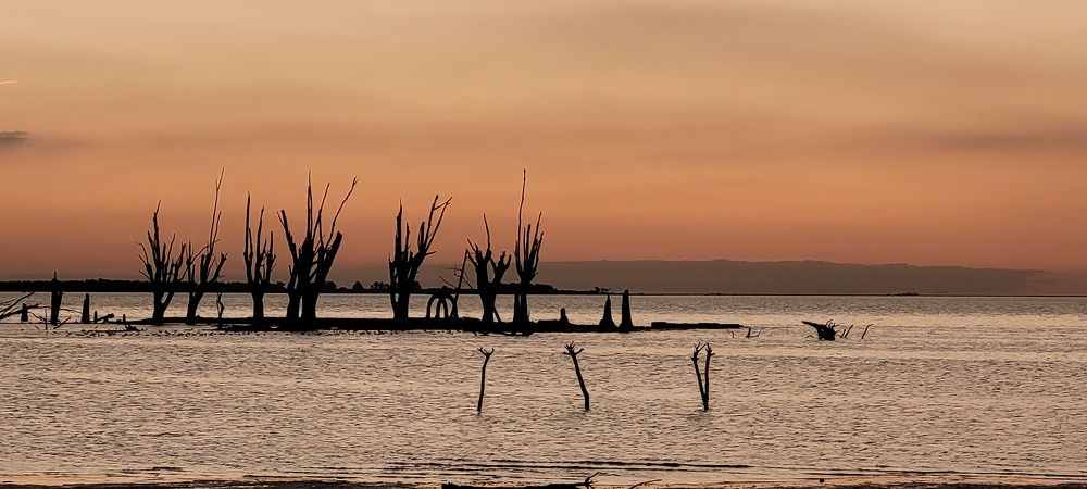 Photograph by Karina Elena Bergagna