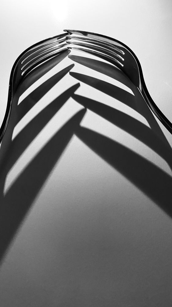 Photograph by Anna Vlasova