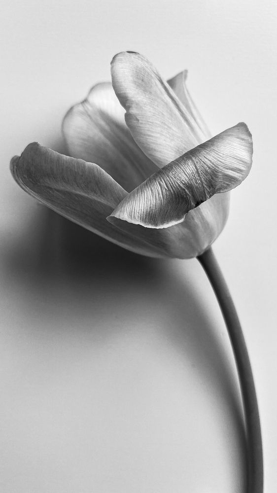 Photograph by Anna Vlasova