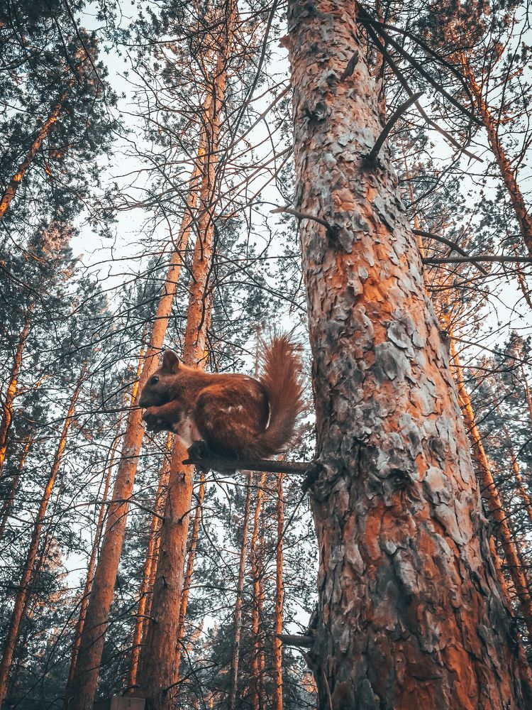 Photograph by Дмитрий Соляников