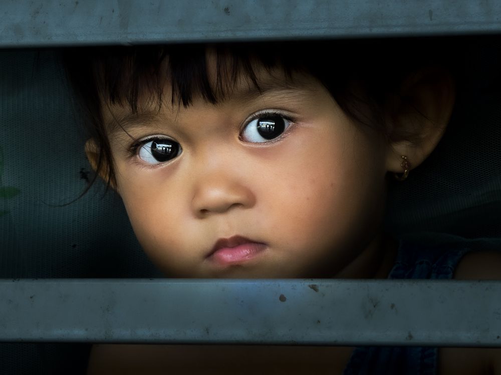 Фотография автора Hong Mai Duong