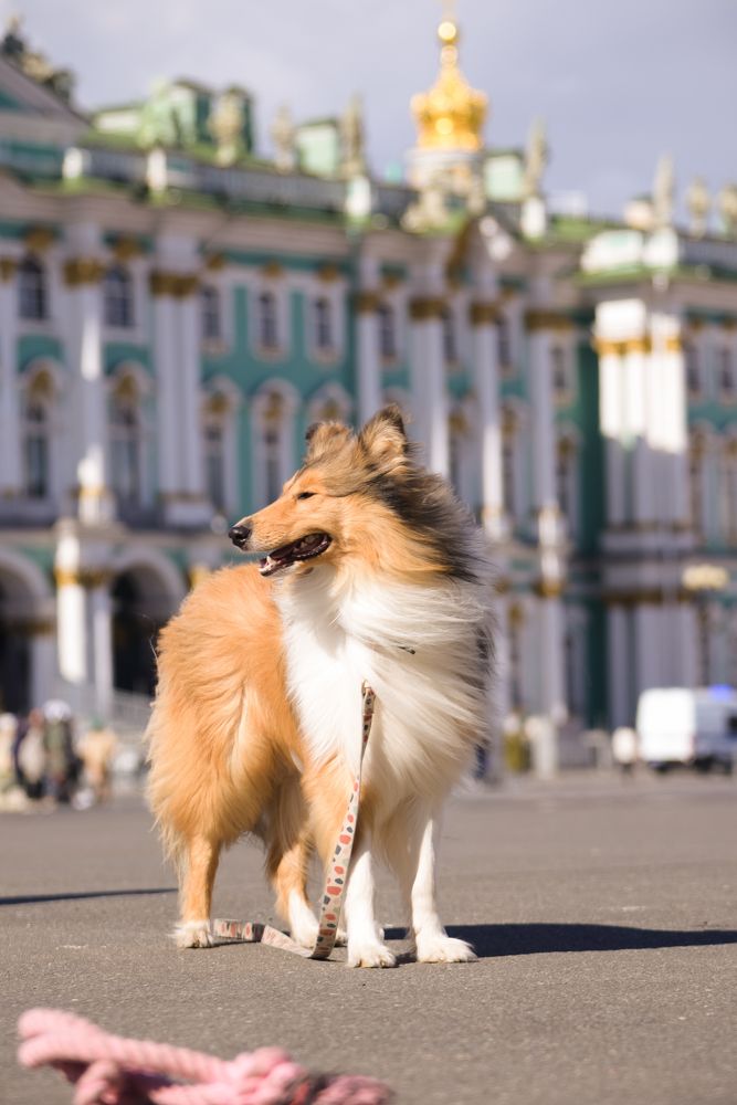 Photograph by Марина Рыбакова