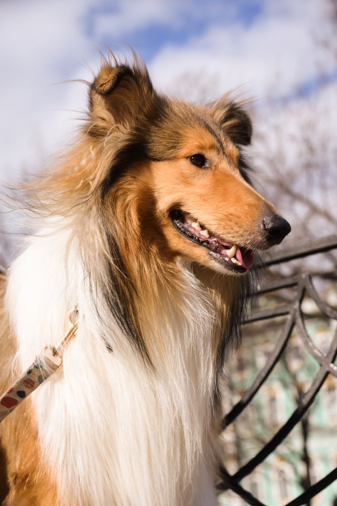 Photograph by Марина Рыбакова