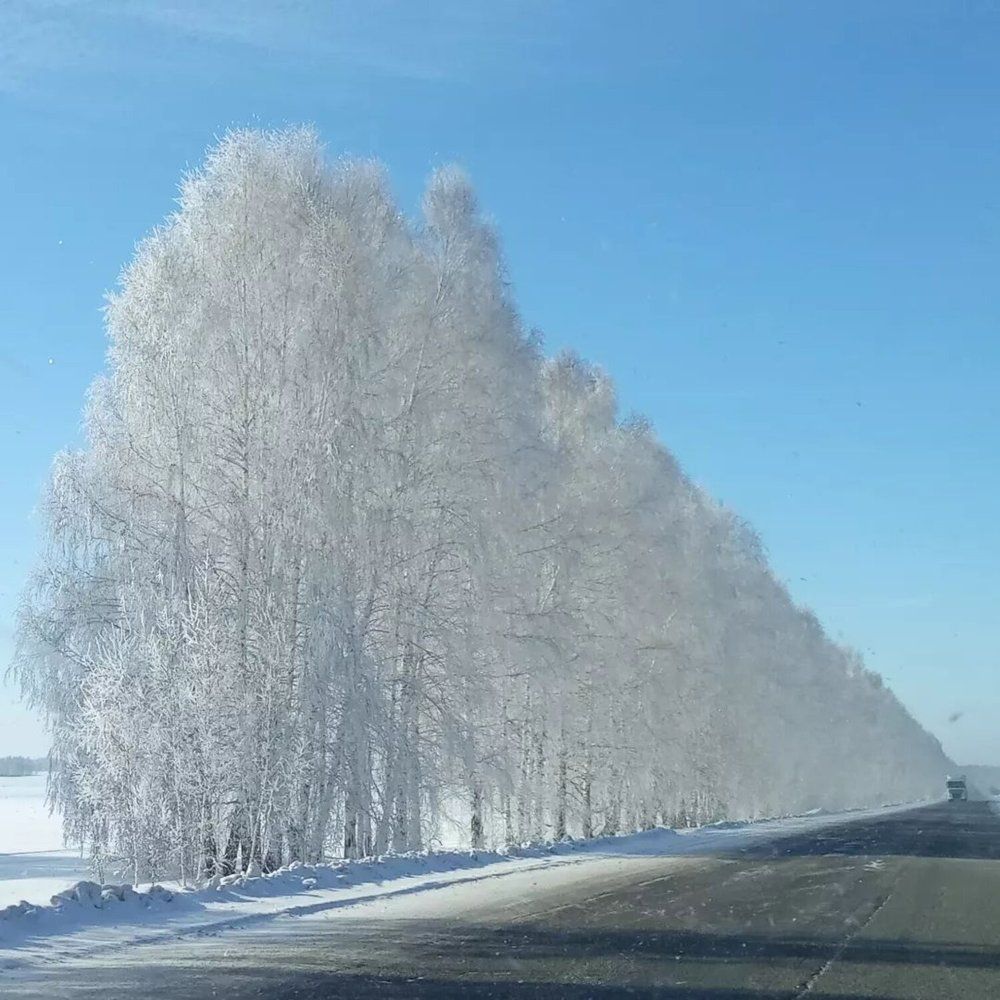 Photograph by Наталья Глек