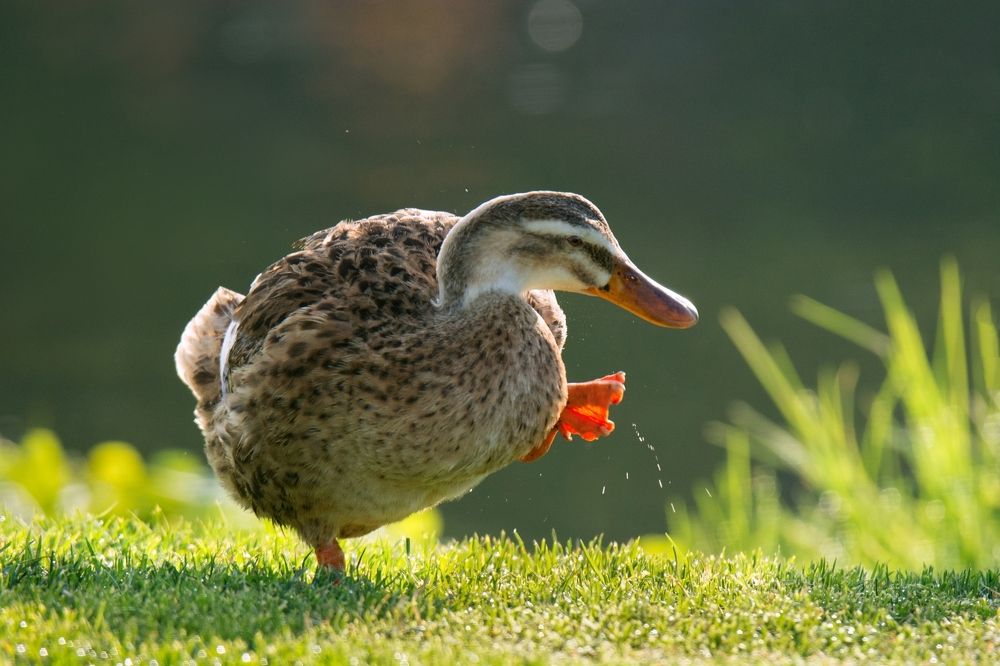 Photograph by Людмила Бекман