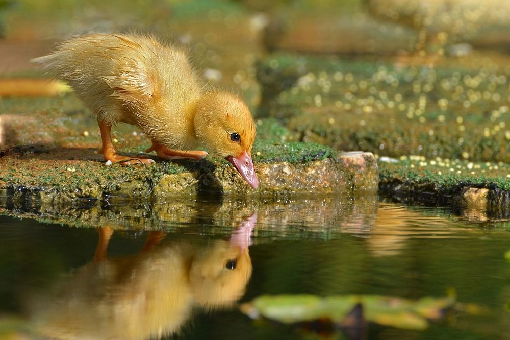 Photograph by Людмила Бекман