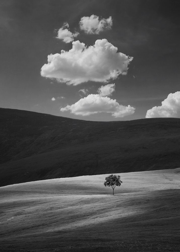 Фотография автора Mojtaba Gitinezhad