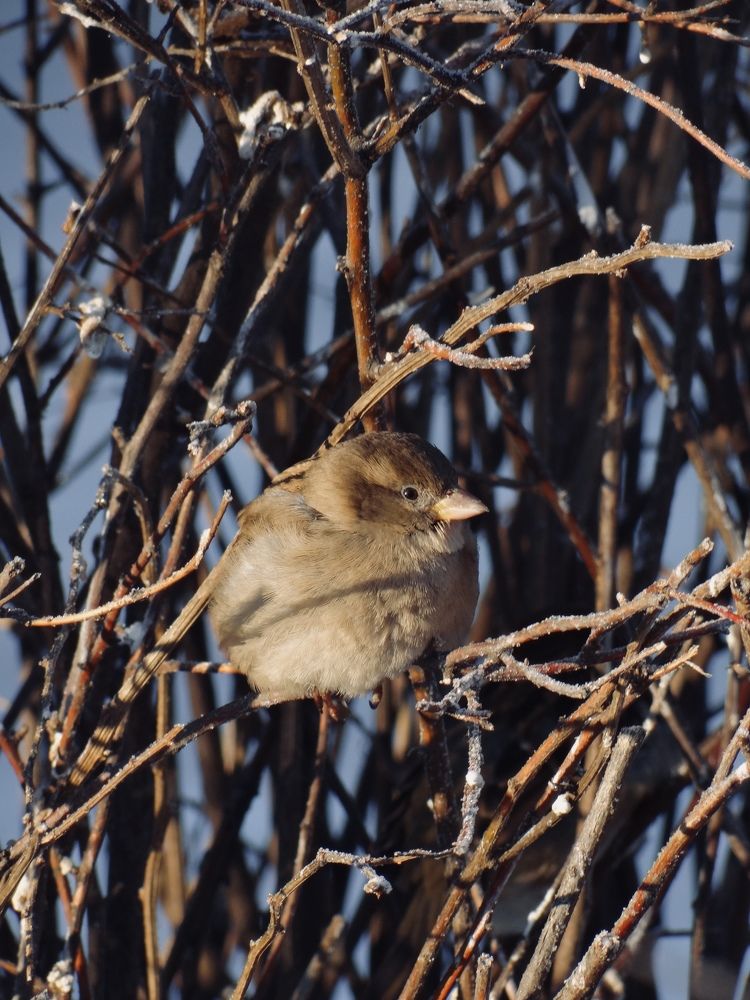 Photograph by Данила Мельников