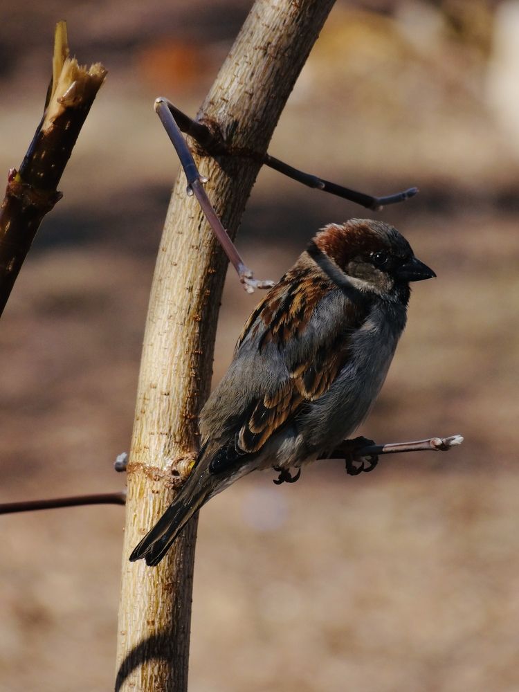 Photograph by Данила Мельников