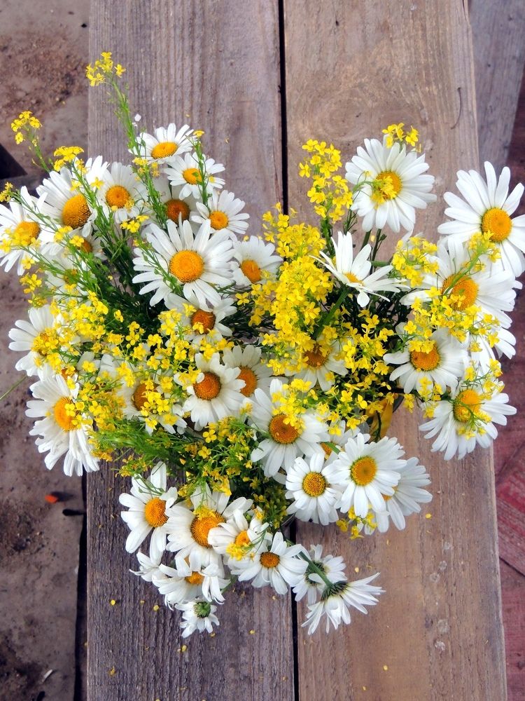 Ромашковая свадьба