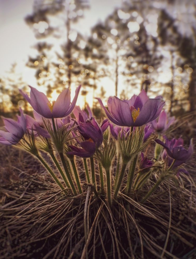 Photograph by Светлана Шелухеева