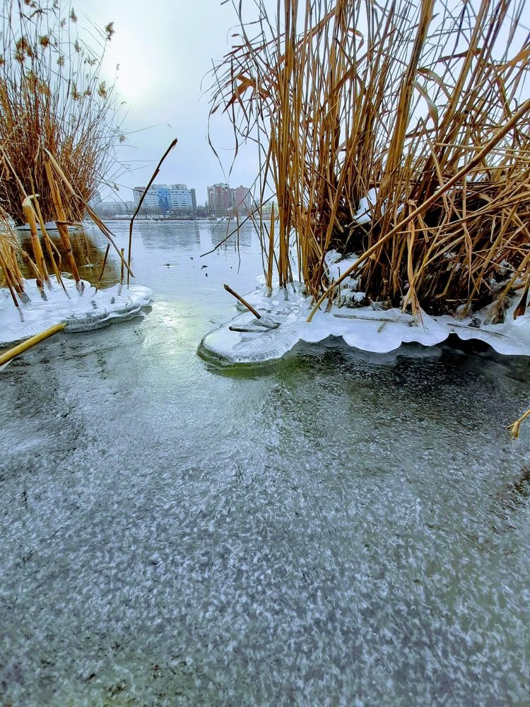 Photograph by Дмитрий Шумский