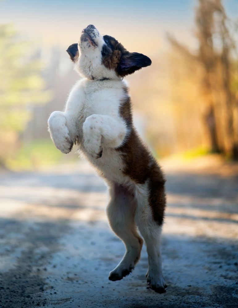 Photograph by Raghuvamsh Chavali