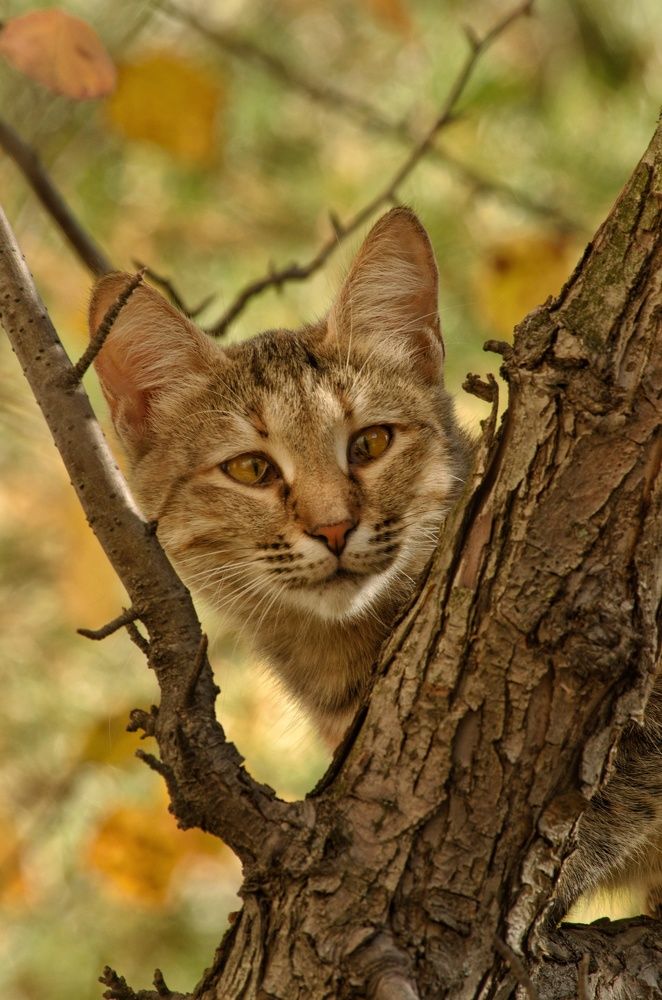 Photograph by Ирина Курицына