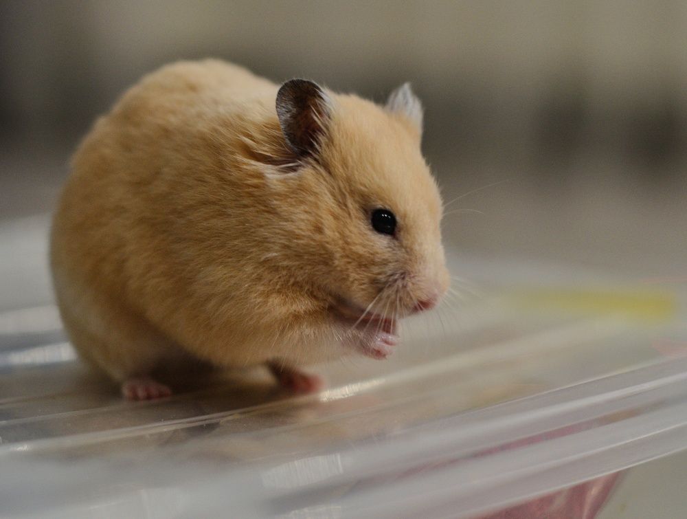 Photograph by Ирина Курицына