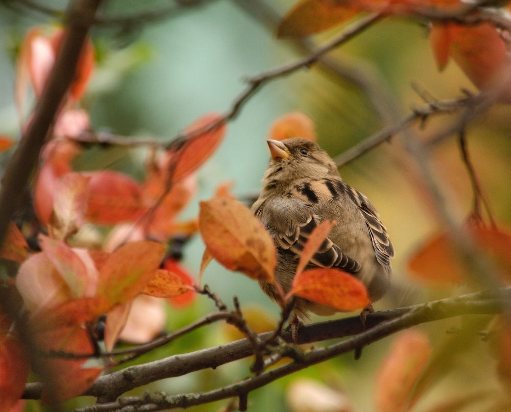 Photograph by Ирина Курицына