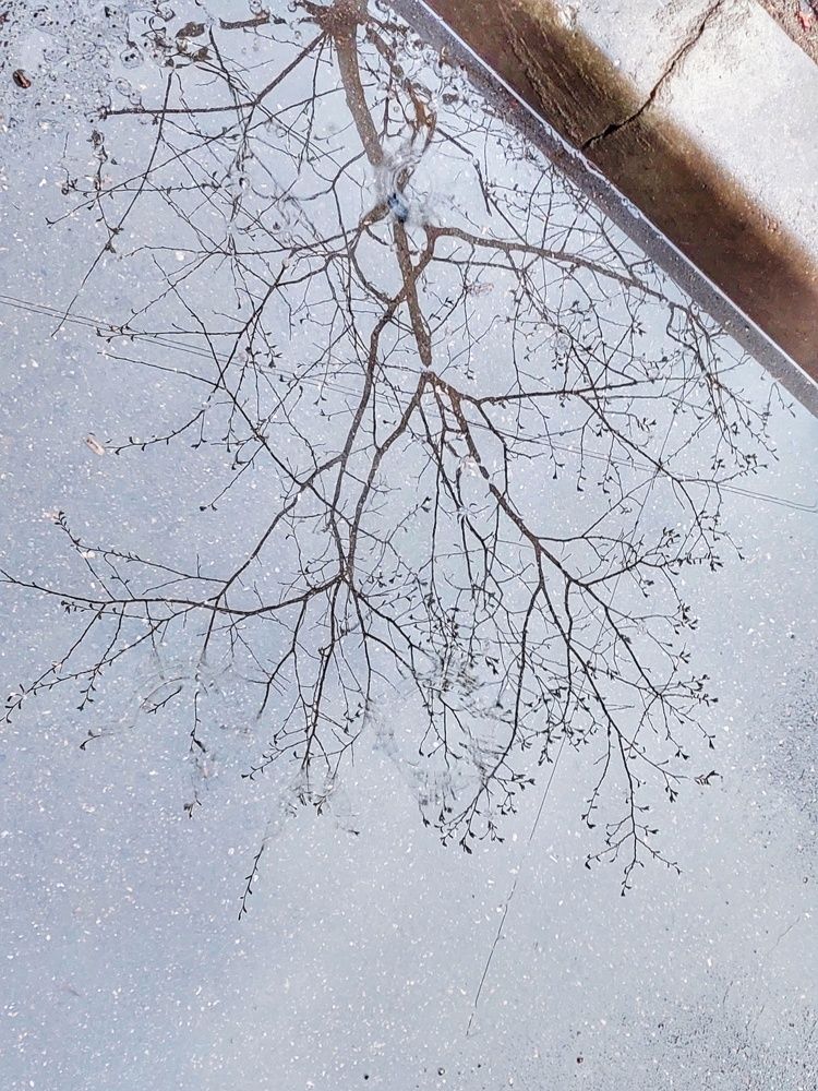 Photograph by Андрей Нурулин