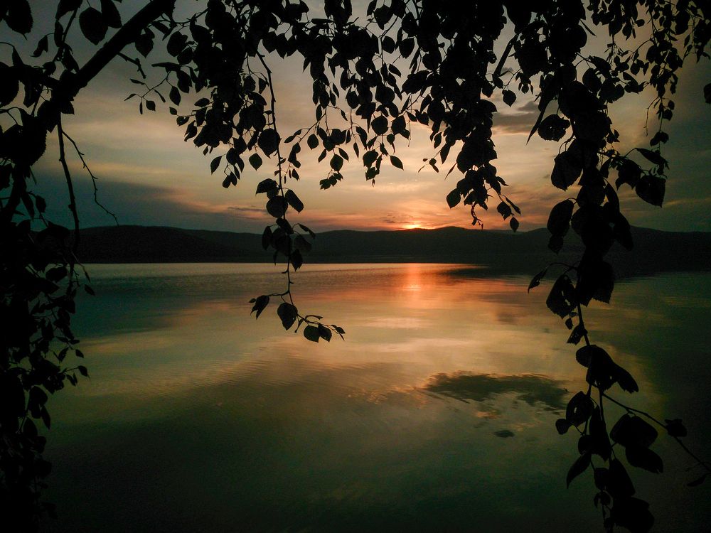 Photograph by Алексеев Саша