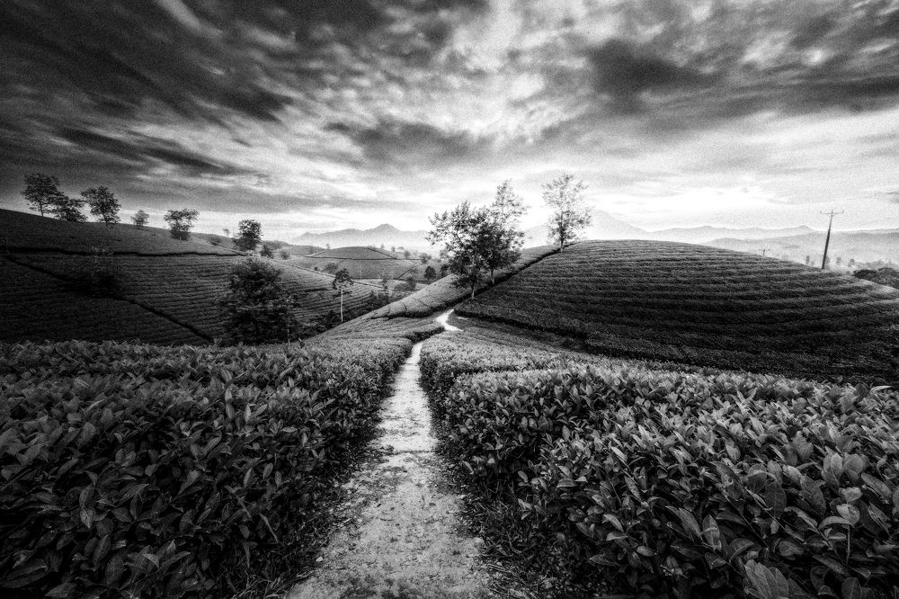 Photograph by Nguyen Ngoc Tuan