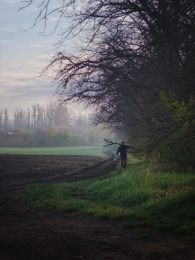 Photograph by Анна