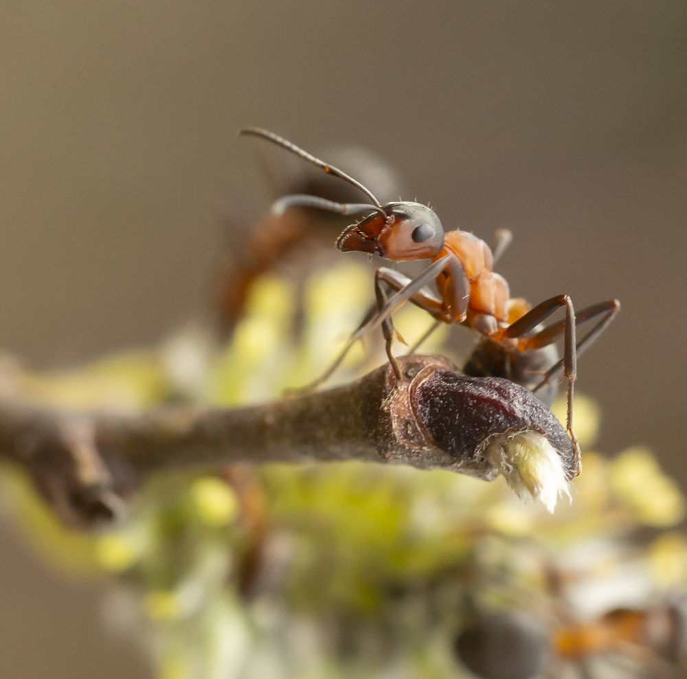 Photograph by Борис Саватюгин