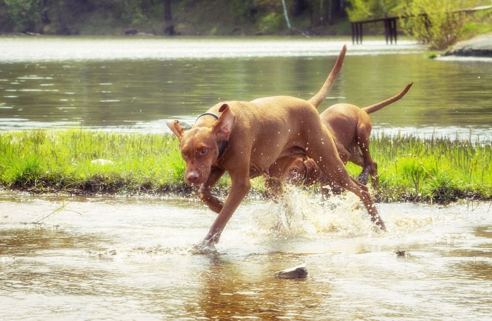 Photograph by Юлия Лушникова