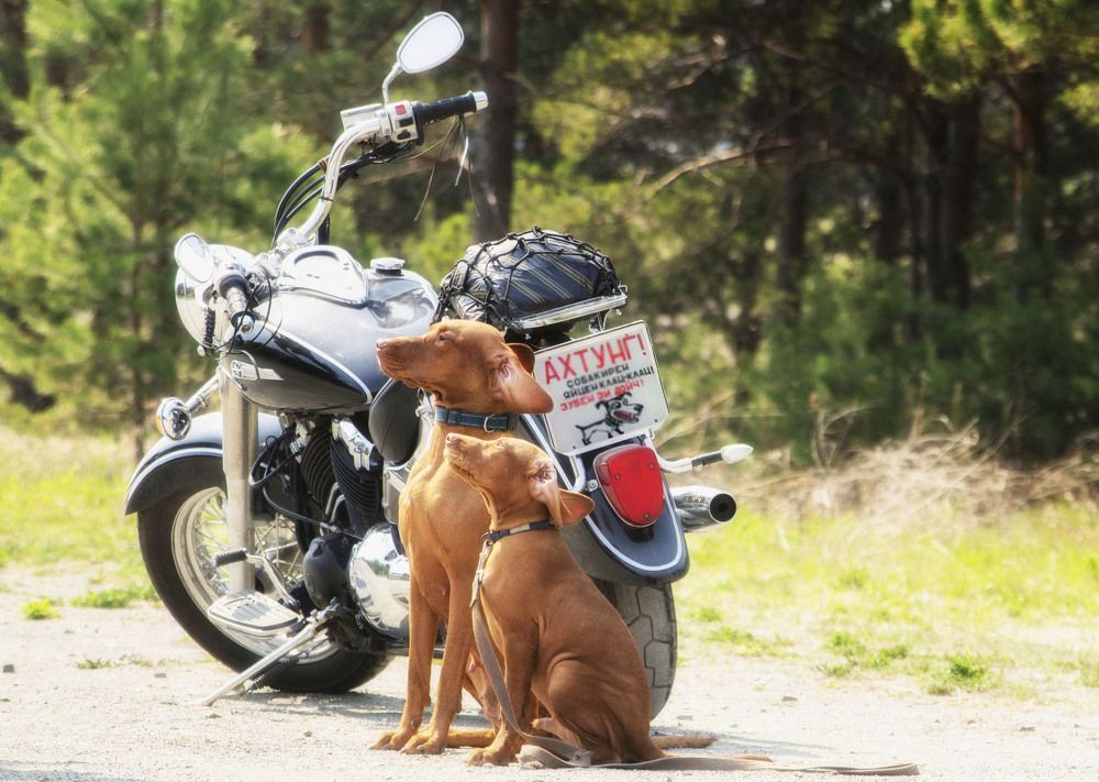 Photograph by Юлия Лушникова