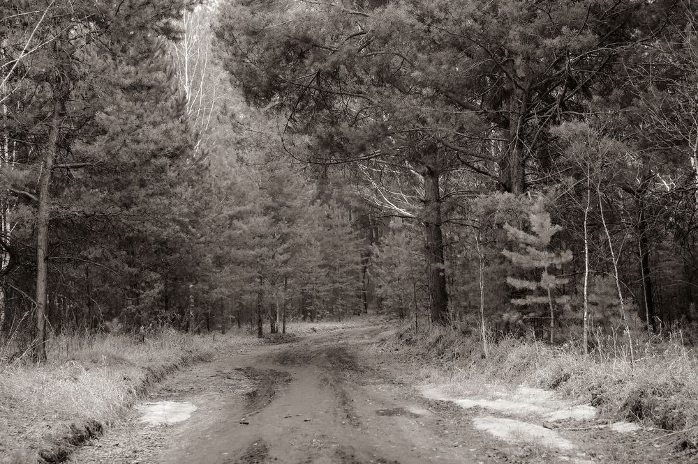 Апрель в Чернолучье