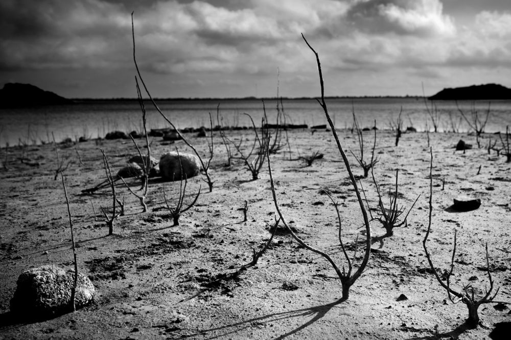 Photograph by Myles Barfield