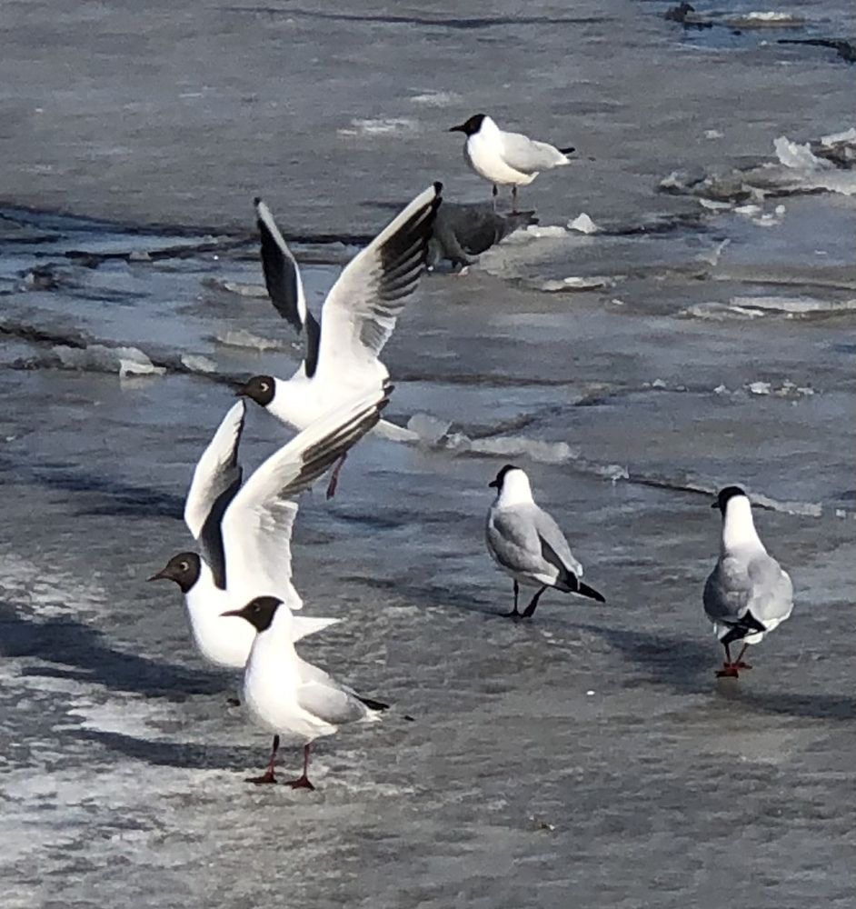 Photograph by Мария Бессмертная