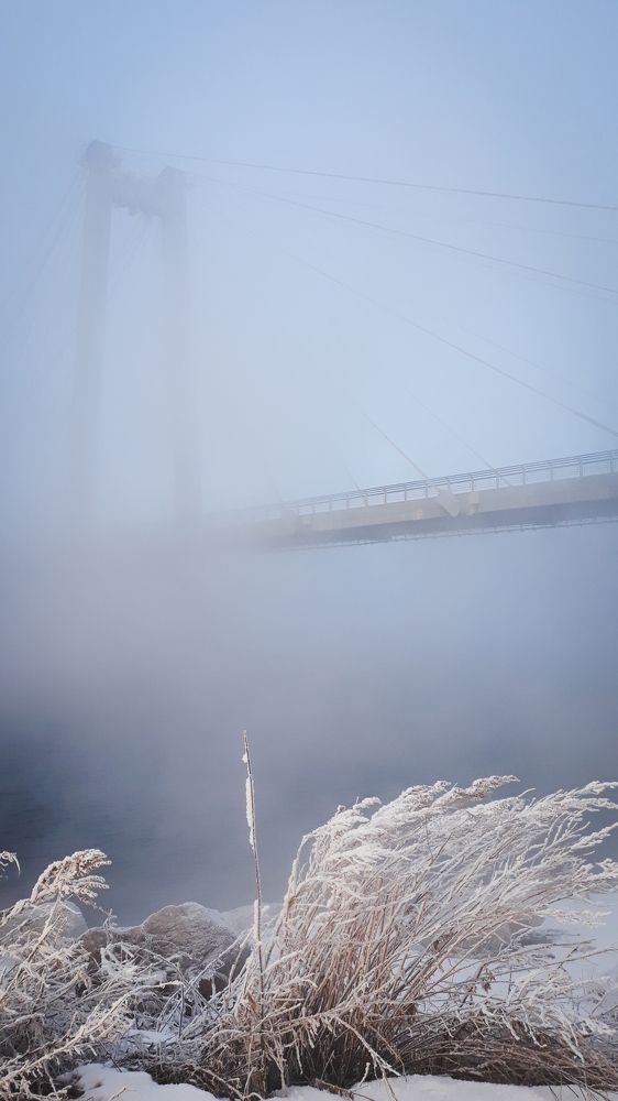 Photo #7555132