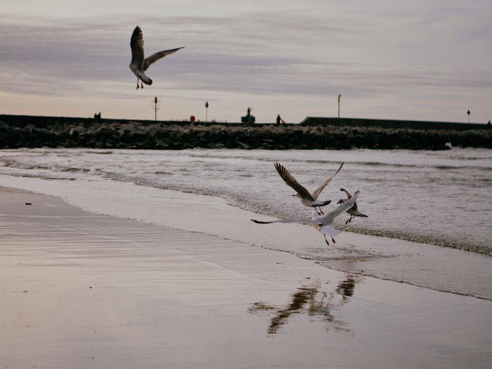 Фотография автора Анна Кравченко