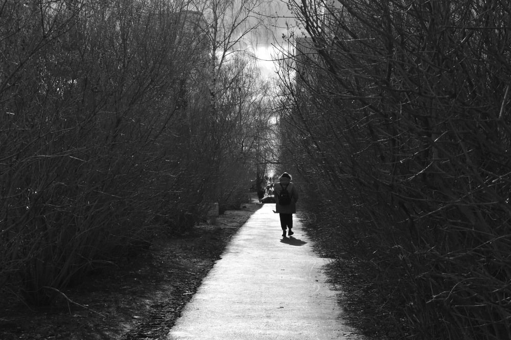 Photograph by Anna Bogdanova